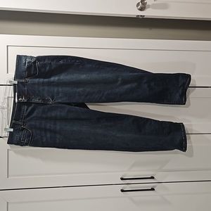 Lane Bryant Jeans